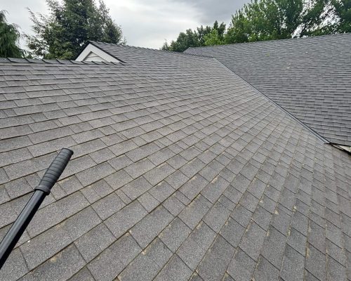Muro Exteriors Roofing Services (58)